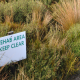 mine rehab area